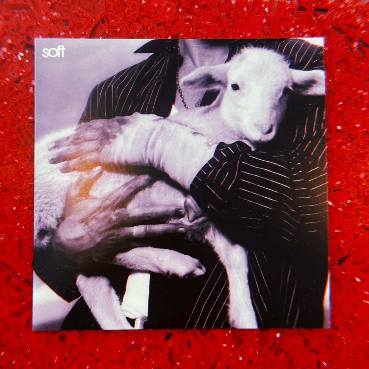 LANY LP レコード　廃盤 Lany - Soft (Maroon Indie Exclusive LP) | Plaka Express