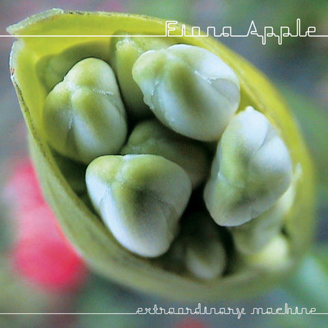 Fiona Apple - Extraordinary Machine [CD]