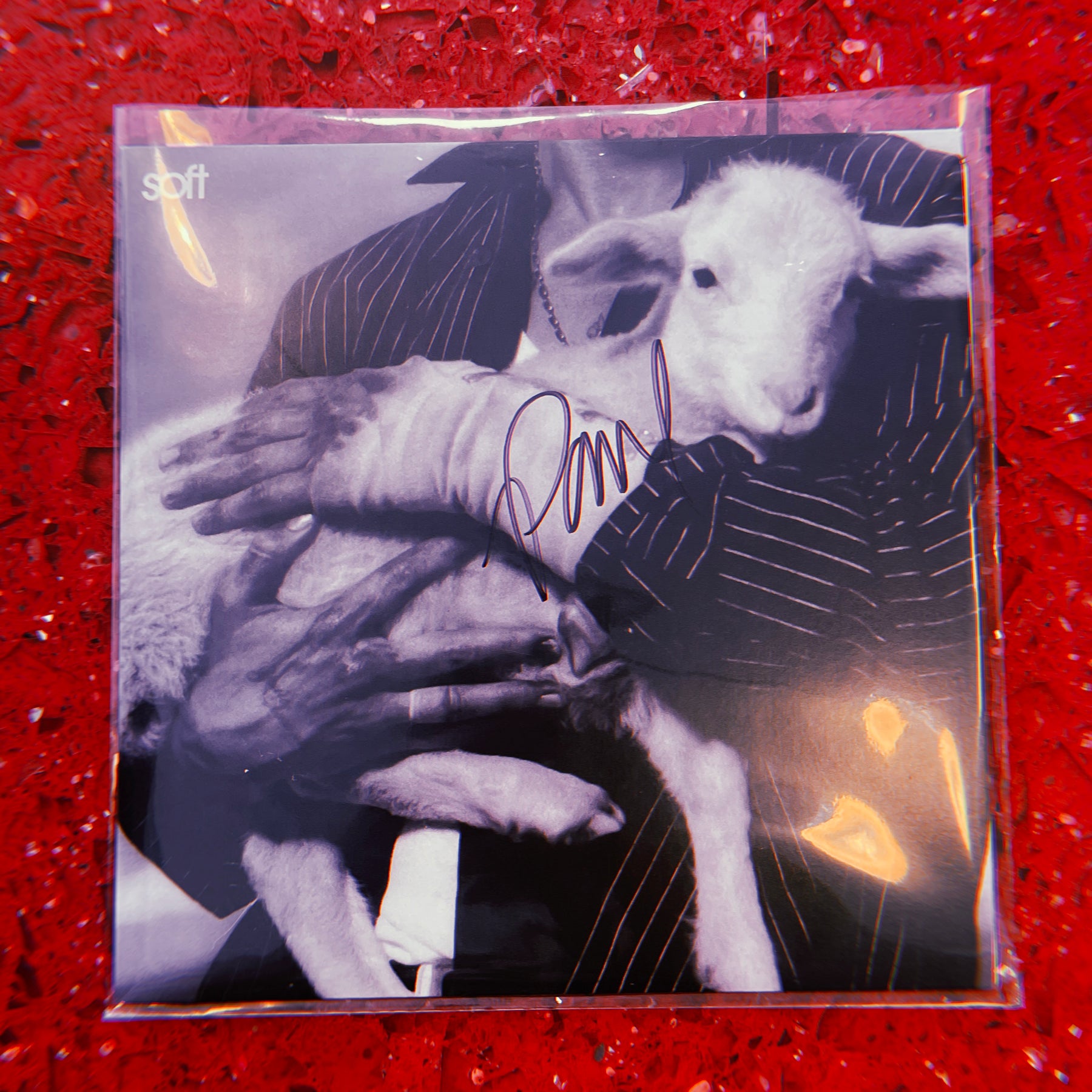 SIGNED Lany 7