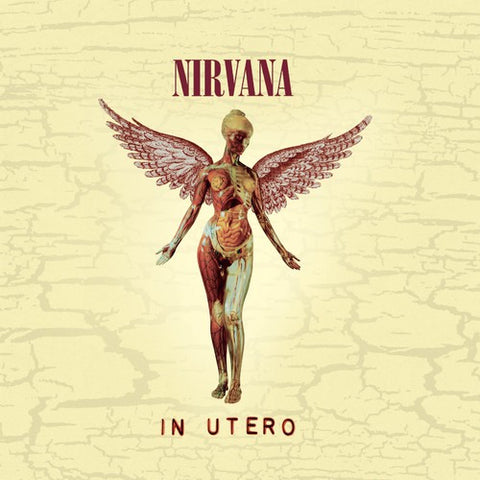 Nirvana - In Utero (20th Anniversary Edition) [CD]