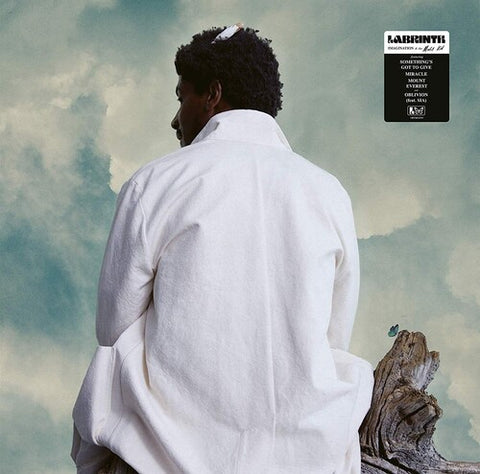 Labrinth -  Imagination & The Misfit Kid