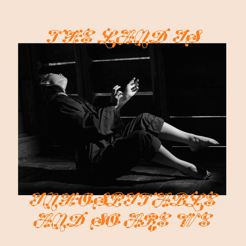 Mitski - The Land Is Inhospitable and So Are We [CD]