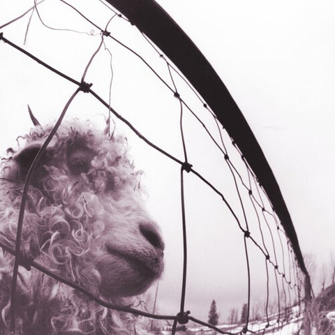 Pearl Jam - VS. (Clear Vinyl)