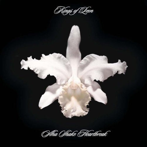 Kings Of Leon - Aha Shake Heartbreak