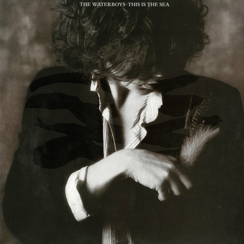 The Waterboys - This Is the Sea