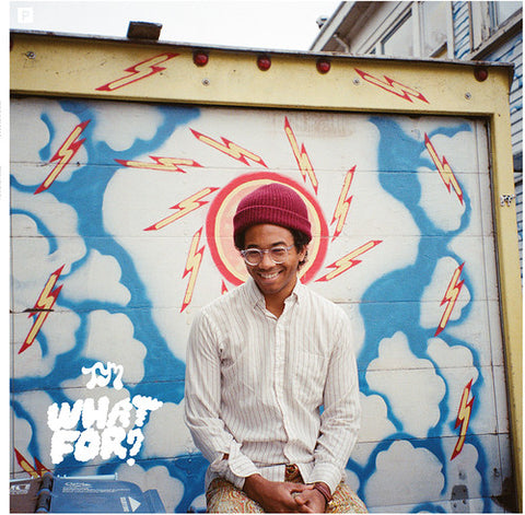Toro Y Moi - What For?