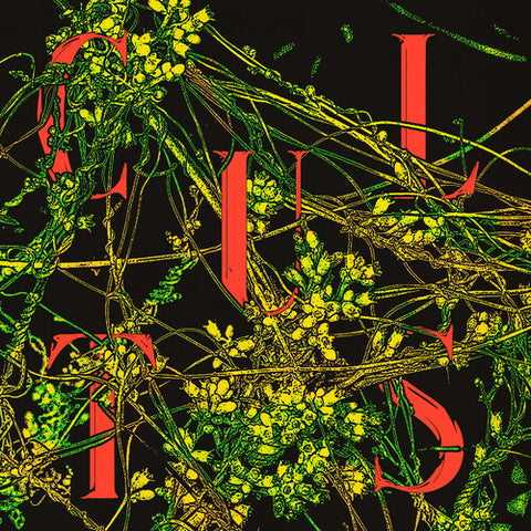 Cults - Host (Evergreen Vinyl) [INDIE EXCLUSIVE]