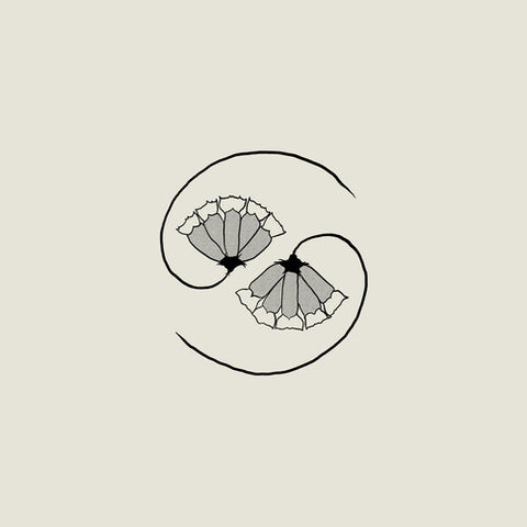 Godspeed You Black Emperor - G_d's Pee AT STATE'S END! (Incl. 10")