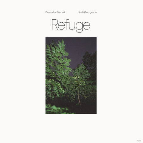 Devendra Banhart - Refuge (Blue Seaglass Wave Translucent Vinyl)