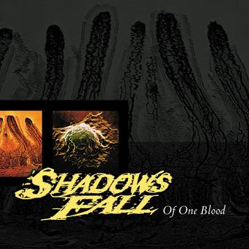 Shadows Fall - Of One Blood [BFRSD2020]