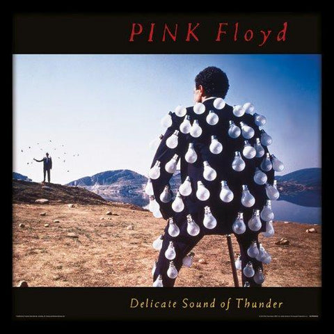 Pink Floyd - Delicate Sound of Thunder