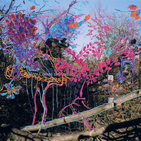 Animal Collective - Here Comes The Indian