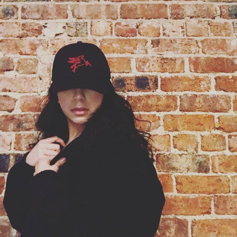 Pegasus Pullback Dad Hat