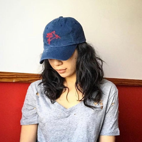 Pegasus Pullback Dad Hat