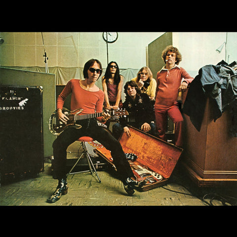 The Flamin' Groovies ‎– Teenage Head [VINTAGE VINYL]