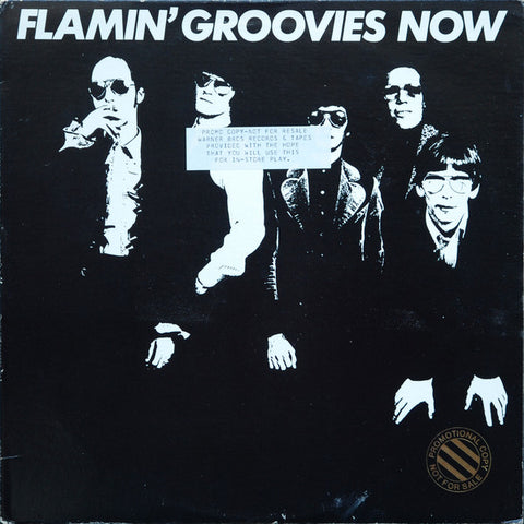 Flamin' Groovies ‎– Now [VINTAGE VINYL]