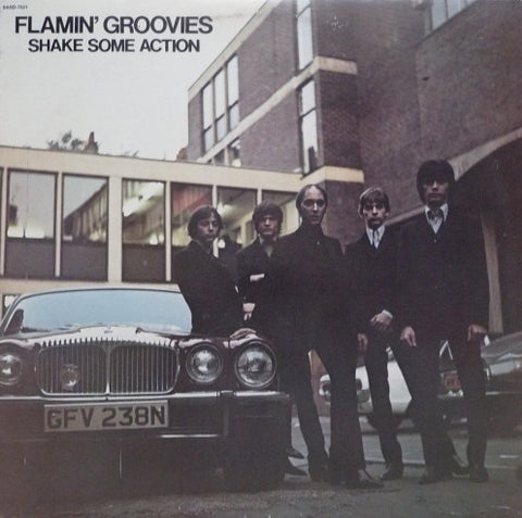 Flamin' Groovies* ‎– Shake Some Action [VINTAGE VINYL]