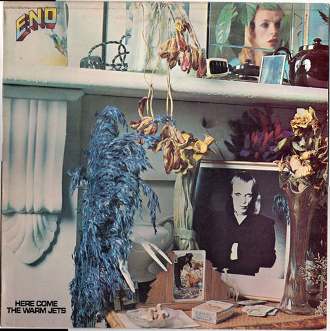 Brian Eno - Here Come The Warm Jets [VINTAGE VINYL]