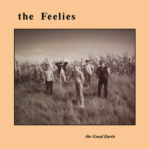 The Feelies ‎– The Good Earth