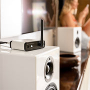 Audioengine B-FI Multiroom Music Streamer With Wi-Fi