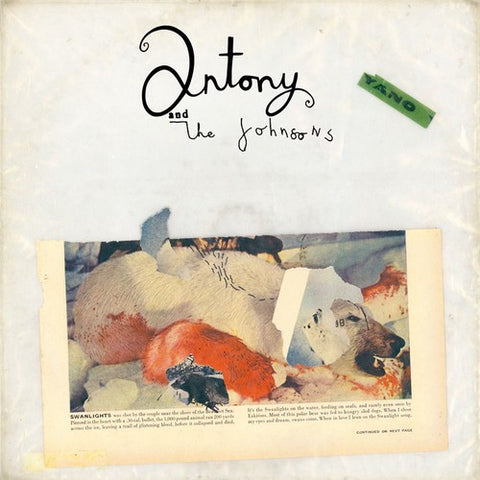 Antony & The Johnsons