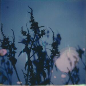 Derek Rodgers - Immersions